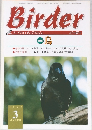Birder 1999.3