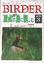 BIRDER　1998年3月号