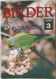 BIRDER　1997年3月号