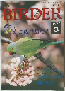 BIRDER　1997年3月号