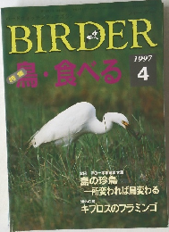 BIRDER　1997年4月号