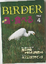 BIRDER　1997年4月号