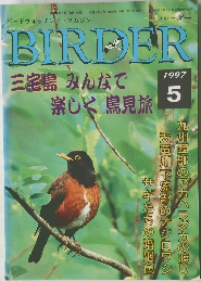 BIRDER　三宅島みんなで楽しく 鳥見旅　1997年5月号
