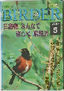 BIRDER　三宅島みんなで楽しく 鳥見旅　1997年5月号