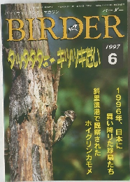 バーダー  BIRDER　1997年6月号