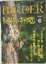 バーダー  BIRDER　1997年6月号
