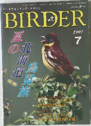 BIRDER　1997年7月号
