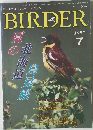 BIRDER　1997年7月号