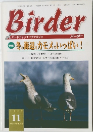 Birder　1999年11月号