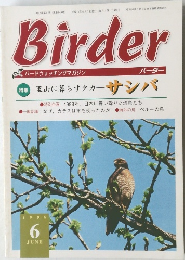 Birder　平成11年6月1日発行