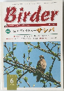 Birder　平成11年6月1日発行