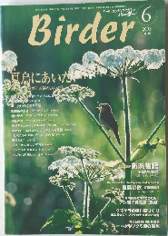 Birder 2003年6月号