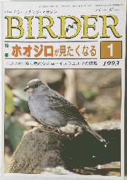BIRDER　1993年1号