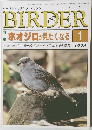 BIRDER　1993年1号