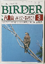 BIRDER　1993年3号