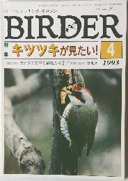 BIRDER　1993/4