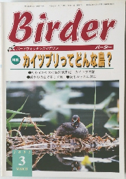 Birder　2001年3月号