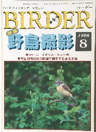 BIRDER　1998年8号