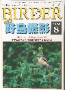 BIRDER　1998年8号
