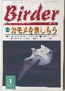Birder　2001年1月号