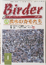 Birder　1999年1月号