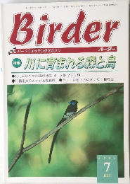 Birder　2001年7月号