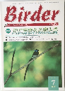 Birder　2001年7月号