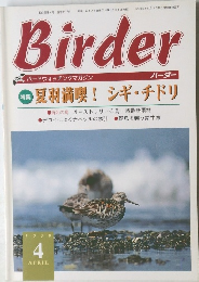 Birder　1999年4月号