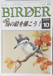 BIRDER　1995年10月号