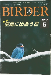 BIRDER 1995年5月号