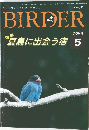 BIRDER 1995年5月号