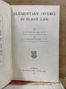 ELEMENTARY STUDIES IN PLANT LIFE