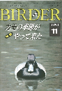 バーダー　1995/11