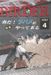 BIRDER　1995年4月号