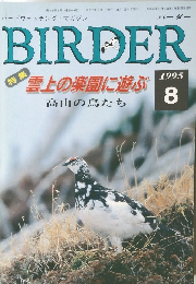 BIRDER　1995年8月号