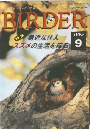 バーダー　1995年9月号