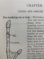 ELEMENTARY STUDIES IN PLANT LIFE