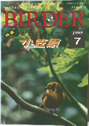 バーダー　1995年7月号