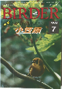 バーダー　1995年7月号