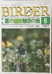 BIRDER　1993年6月号