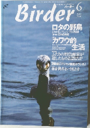 バーダー　2002/6