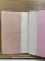 支那猥談集