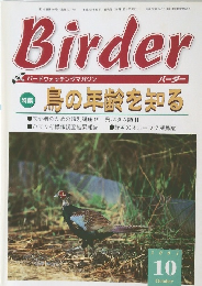 バードウォッチングマガジン　Birder　2001年10月号