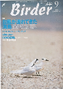 バードウォッチングマガジン　Birder　2002年9月号