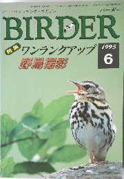 バーダー　1995/6