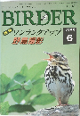 バーダー　1995/6