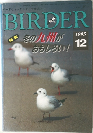 バーダー　1995年12月号