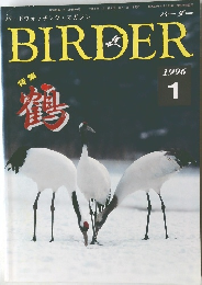 BIRDER　1996年1月号
