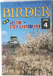 バーダー　1996/4