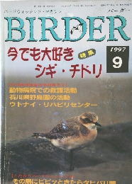バーダー　1997/9